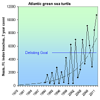 Green Sea Turtle Population Chart