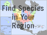 Click to find species in your region